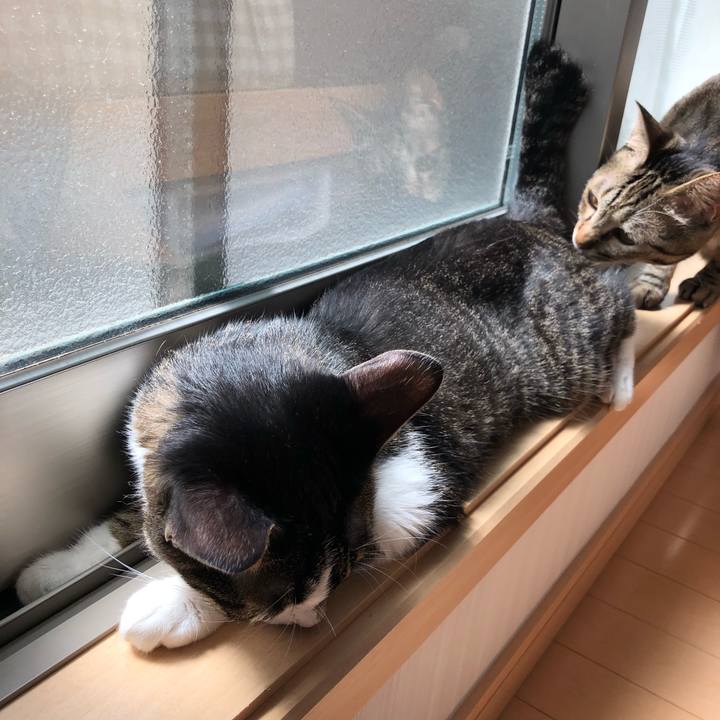 Df2f34fa d945 4986 941d 4b134778d48a 1536782130492