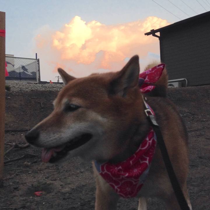 Df2f404f 746b 4293 a282 86d11a2b41a2 1533290361093