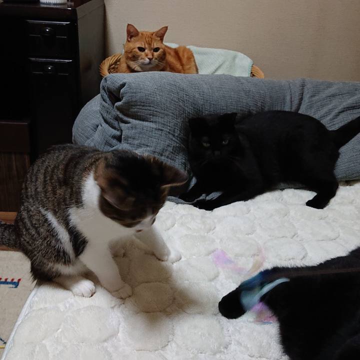 Df2f64ca 64eb 4a1c 8e76 dbac4a8c242d 1572134112391