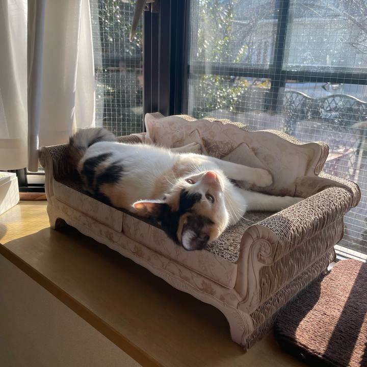 Df2f93d8 778a 453e 92b6 a5ece8b57dbf 1676763854503