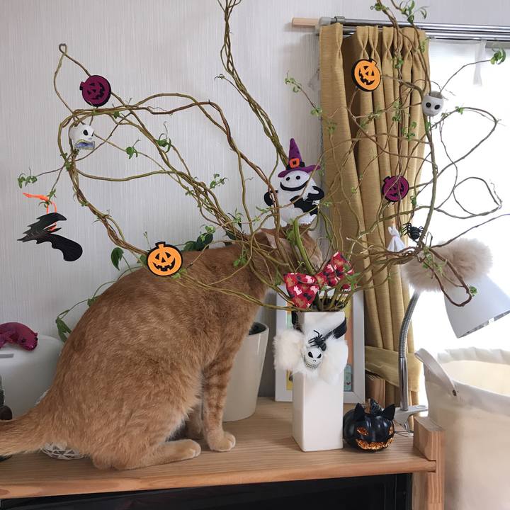 Df2f9e00 848c 46ea 94b9 c878af8d9267 1509411491156