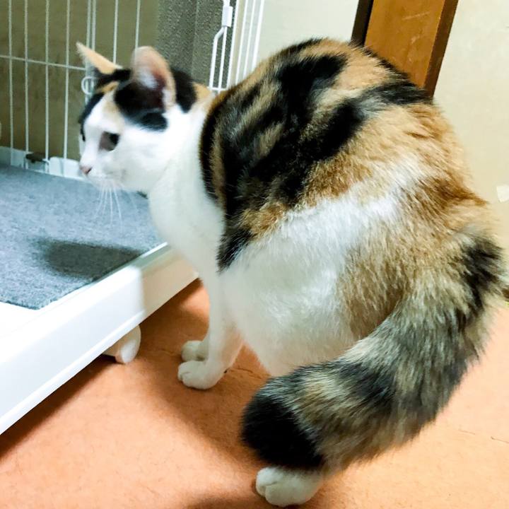 Df2fa54d d373 4b42 bf54 b6c8a9b08d1b 1511441298966