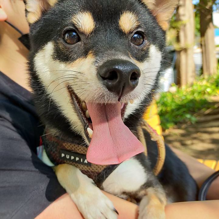 Df2fddde d28b 4de8 9f1f 383023d99509 1604194357770