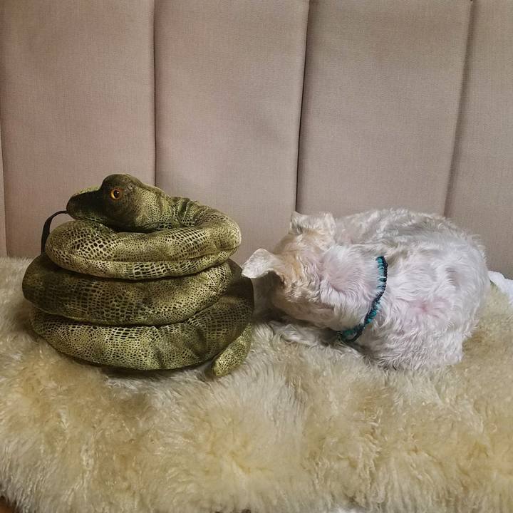 Df2ff6c2 9f5f 4a80 a6ac cf74c7e54f20 1541938504179