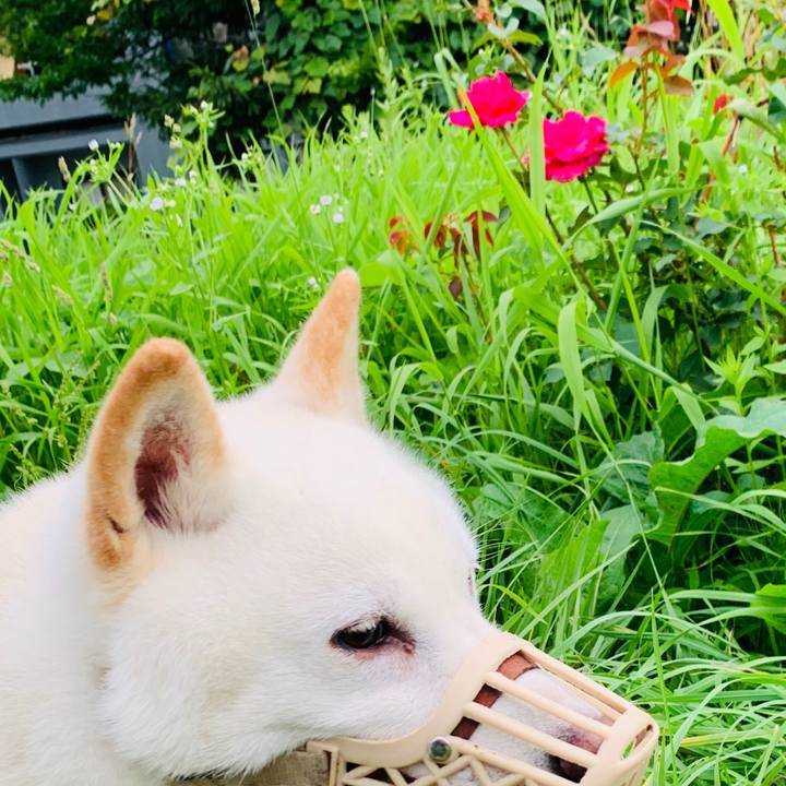 Df301663 2ecb 4e08 b637 dc73f4d8257c 1594588677004