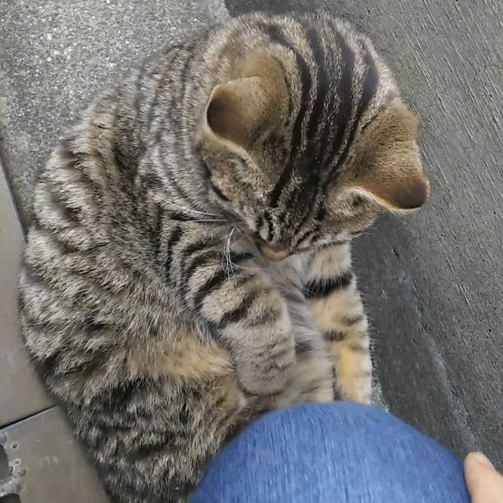 Df30196c 355e 47fc a89c 048c9a024c60 1554626003776