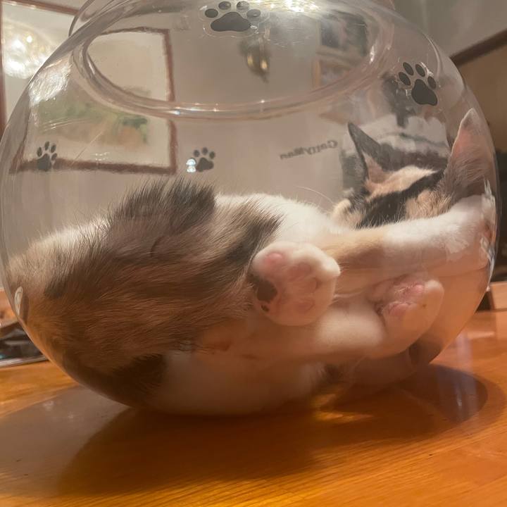 Df301c58 8a6a 4b8b 85fd 60bf83f2f6c4 1744554765997