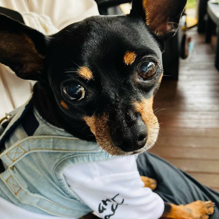 Df302deb 956f 4010 b69c 25a78c7b6367 1749902254222