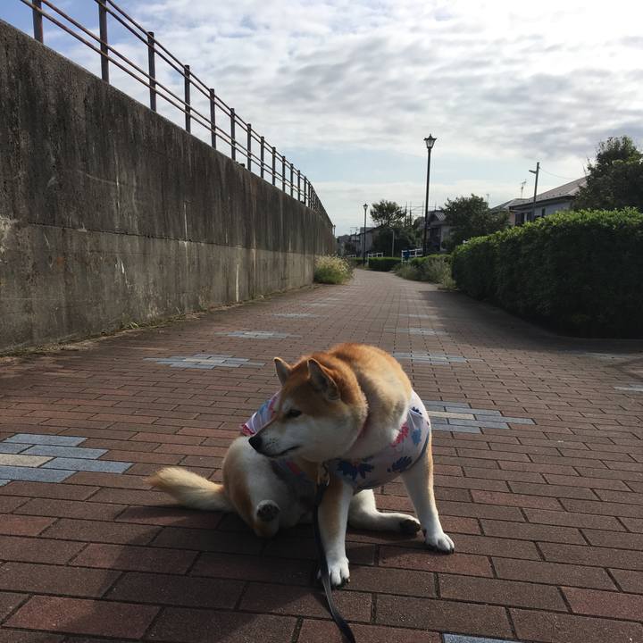 Df3069b3 90e8 4714 b7b0 f92406fcbca1 1569456653274