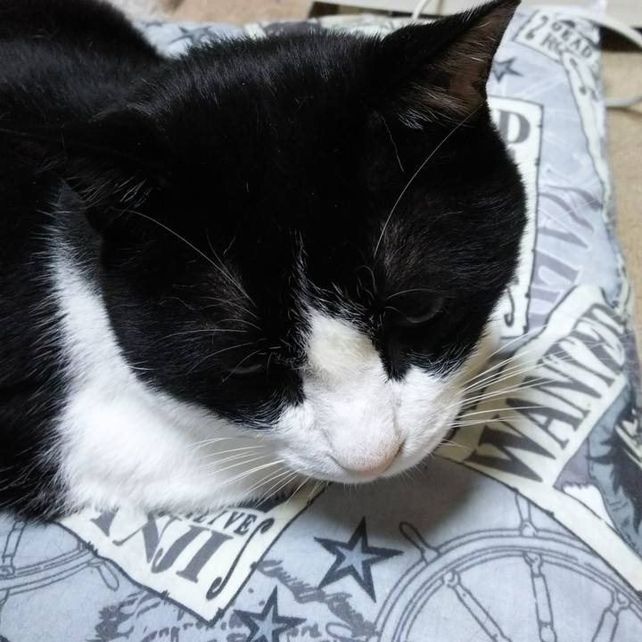 Df306a0b 647b 472e b4c3 5b6181e8c0b6 1529012486776