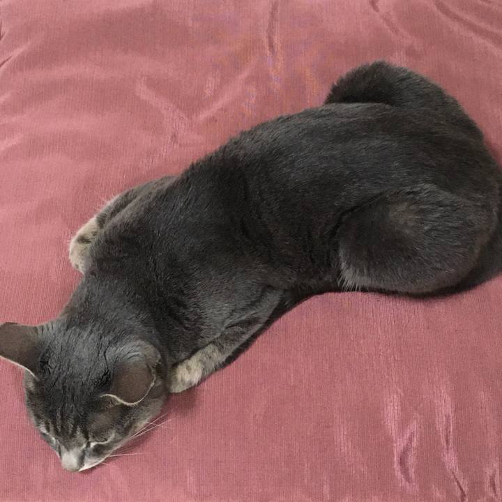 Df30700b 6723 4a45 b107 f81a852752df 1592009782815