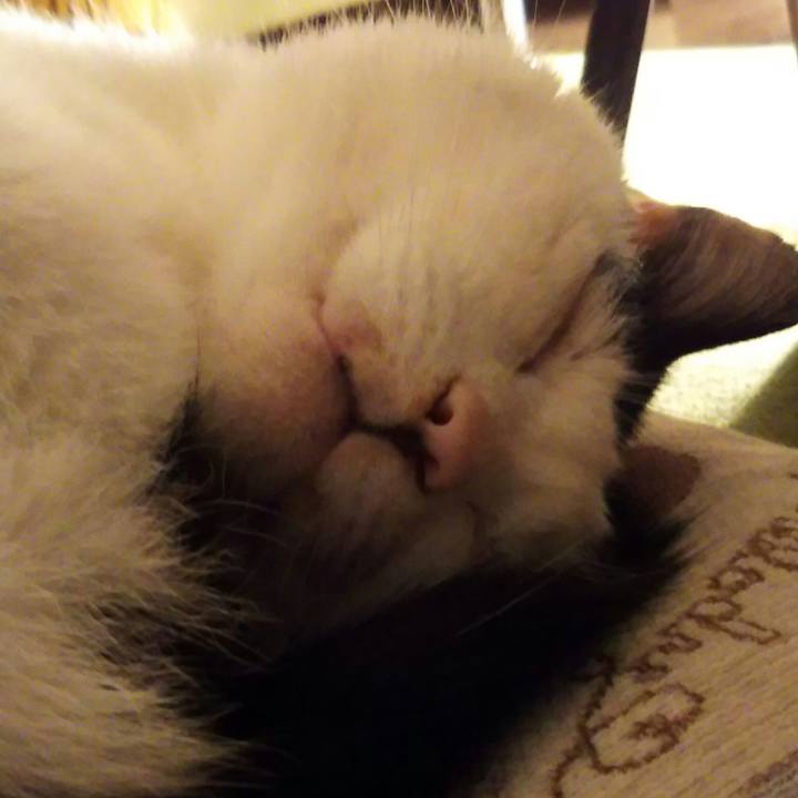 Df30b1e1 f133 4867 8057 5ce1b781c0e9 1555250202831