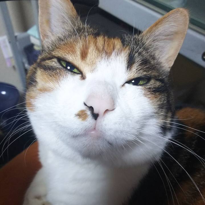 Df311484 24f5 4d0b 86e0 75ac9937a7a6 1552254419404