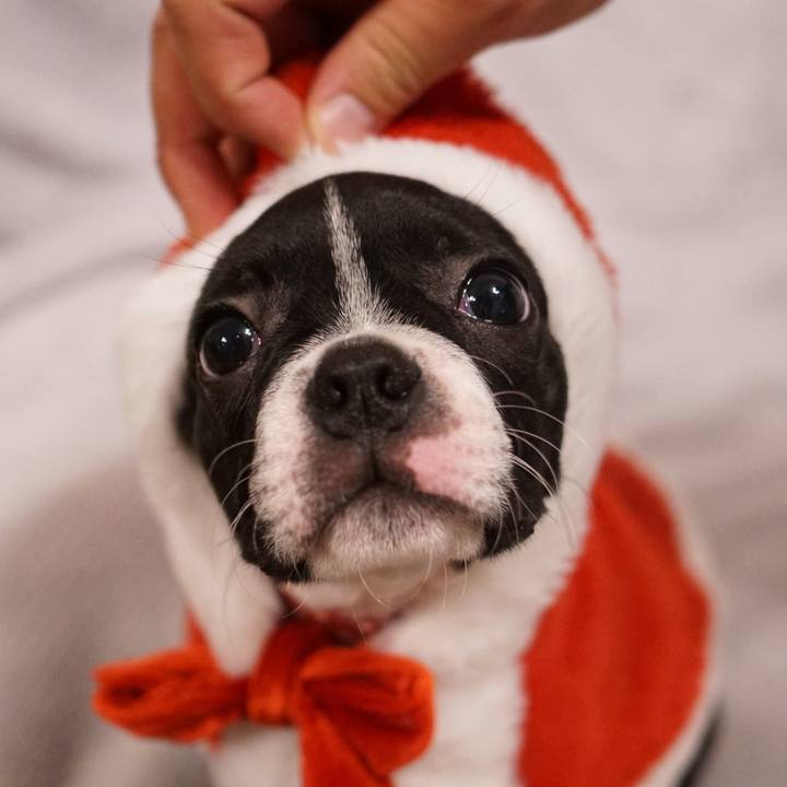 Df311dca 60ae 4c44 9509 5e5321753374 1541420737625