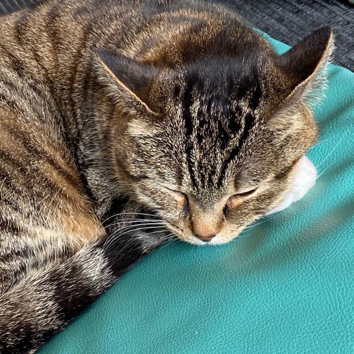 Df31435b 1d47 447d a8ec b216578df482 1588039144819