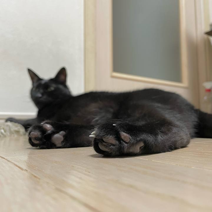 Df314f4b fc53 4880 b00b d54ee04d9b07 1653832201512