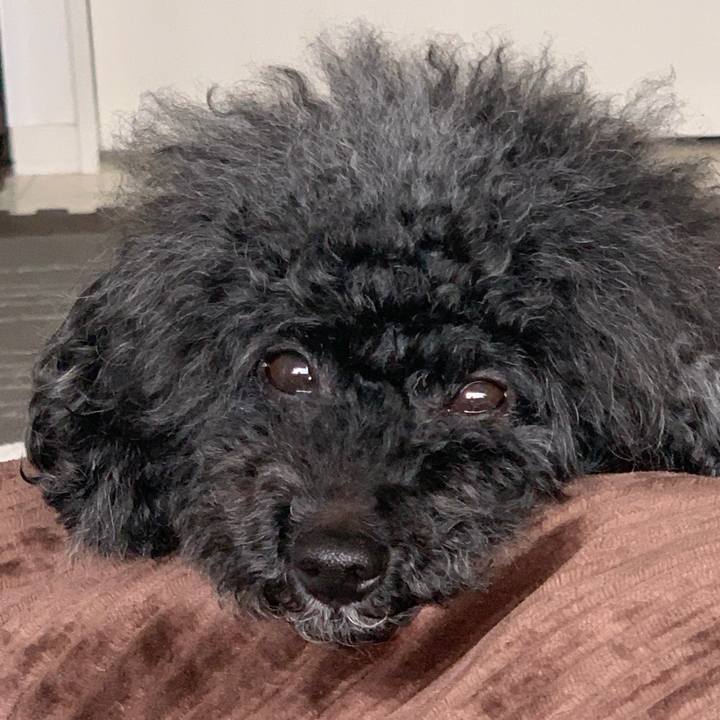 Df31793e 7d72 4d27 b6c6 7ba7ccbc6447 1616908855514