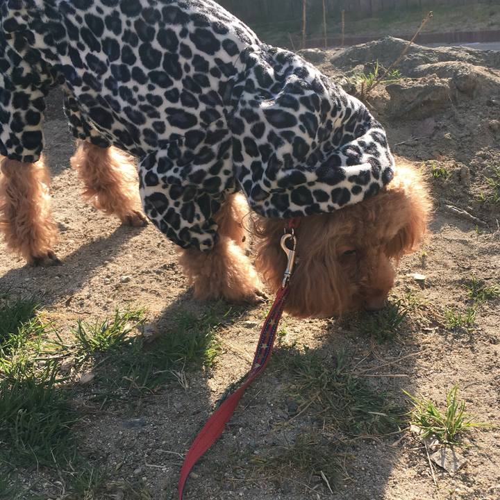 Df3186be b640 420c 856b 6a6bb861ad5e 1518089188553