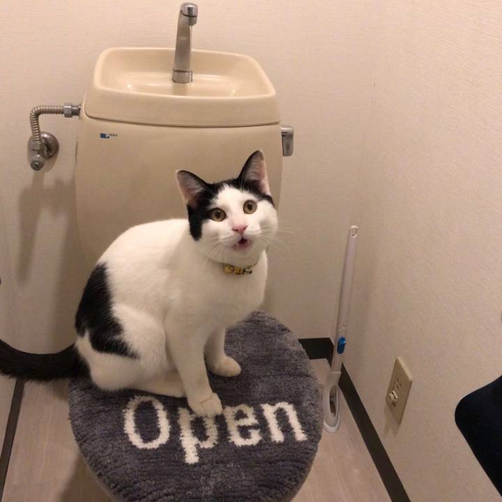 Df31b5b2 8ae0 4fe7 adf5 a314148b16ff 1550728015281