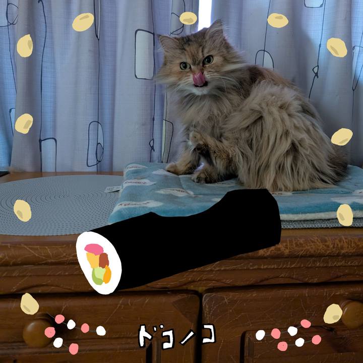 Df31c9b5 a823 4c7e 89db a335274cda74 1741418350331