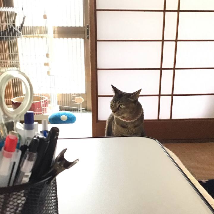 Df31d672 d0bf 4073 96c8 5a9c425b11b3 1713671310871