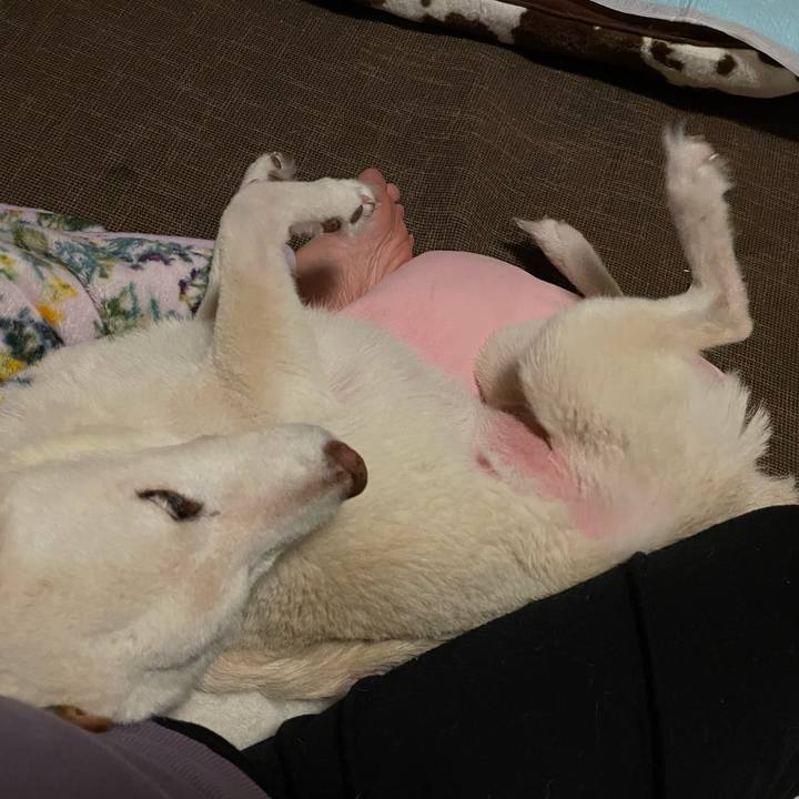 Df322414 0599 4245 9141 f85d36dd02b3 1668533398387