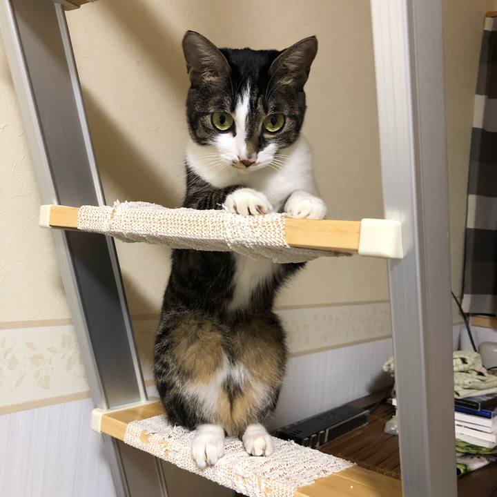 Df324bd6 e7e1 4e9a 9a5b 990020623238 1544992053758