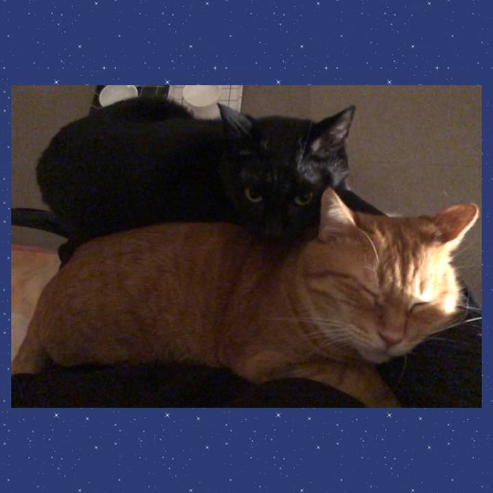 Df324fa0 ab50 4793 bebf f8c5f5363d77 1680607901860