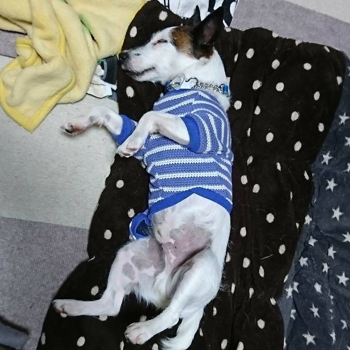 Df326cda 61ea 4955 aa1e 8a40c3c6aab1 1579439958074