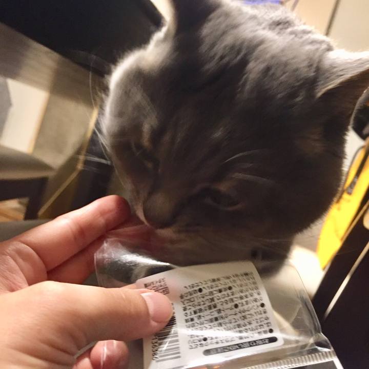 Df32815f 8ef2 416d 9af3 552dc1bab357 1512482858646