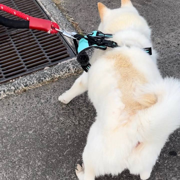 Df328c18 b73d 4749 8159 d0452f1a84ac 1685311179044