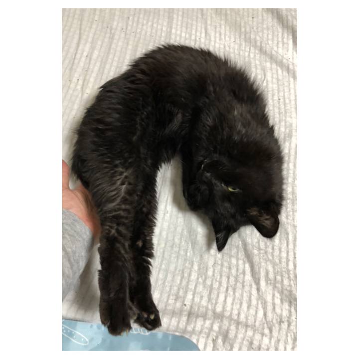 Df3291ed 4e51 44c7 8316 d5c1dba990f2 1630417618146