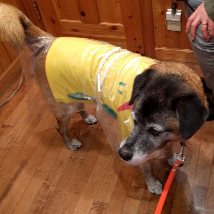 Df32adb0 97d0 4245 aff5 76443c281c56 1509240876342