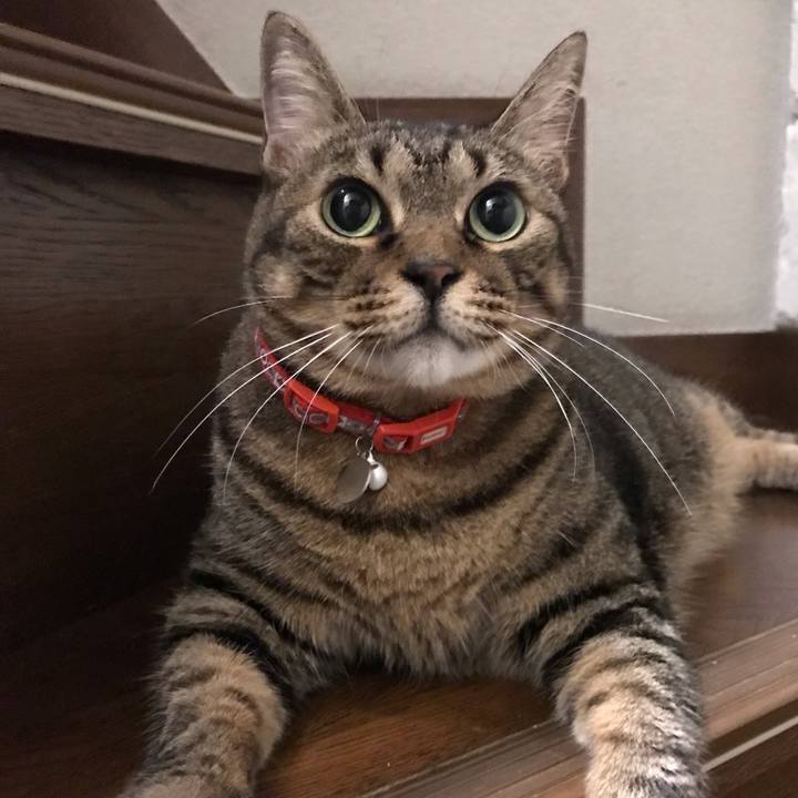 Df32b55c f8ec 458c a888 5cb79c37a804 1632570751976