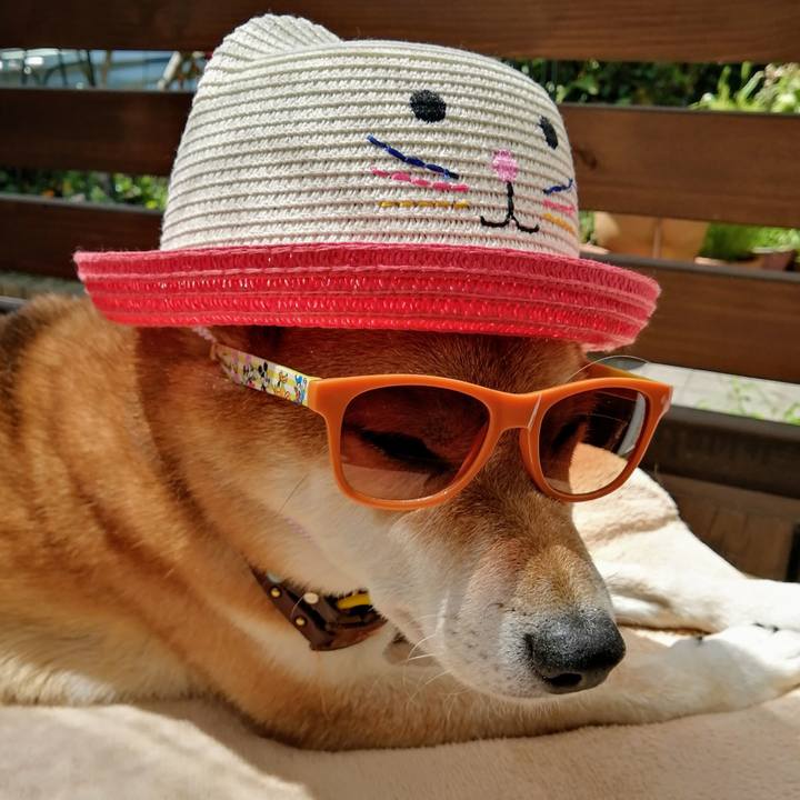 Df32b5f9 8710 4c36 bc83 09d7f312d898 1629945952203