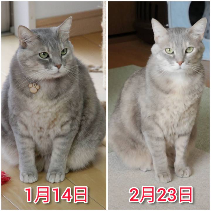 Df32be09 b579 451c 8541 9e756034e4b7 1645887201131