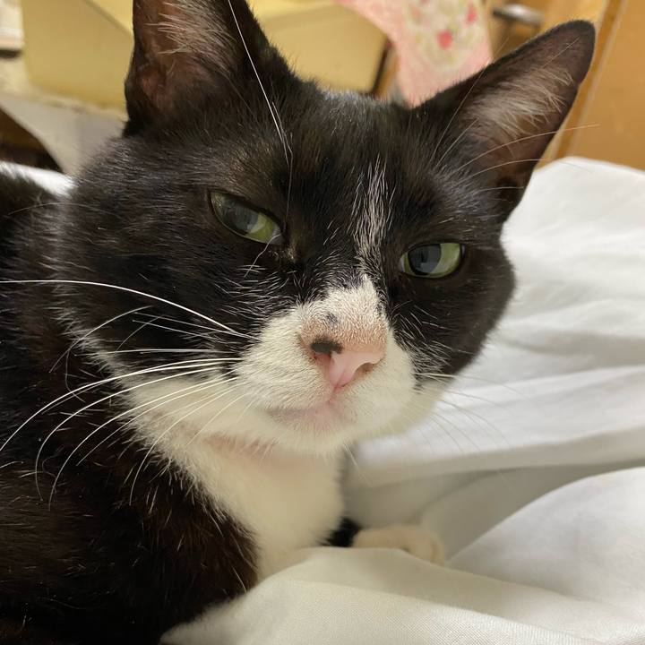 Df32d05f a7eb 494d 9b3f 3b0342b8a3ad 1593354599660