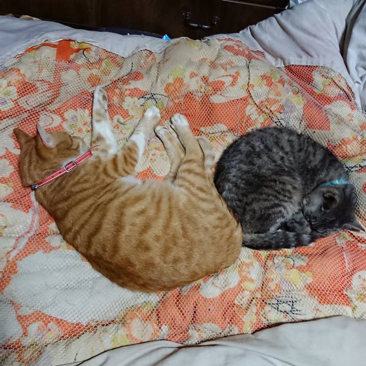 Df32d97a 7a4f 4326 8727 afd8dba0f2f3 1570282217405