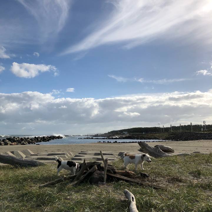 Df32f5c2 61db 4c54 b4b3 c73b1867e33f 1534549615936