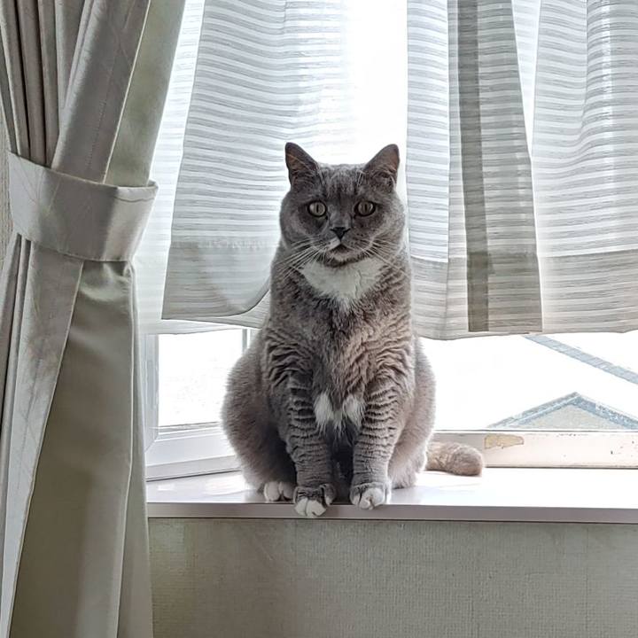 Df32ffd7 7dbf 44dc bd8a 8c9f20a8b649 1654339101124