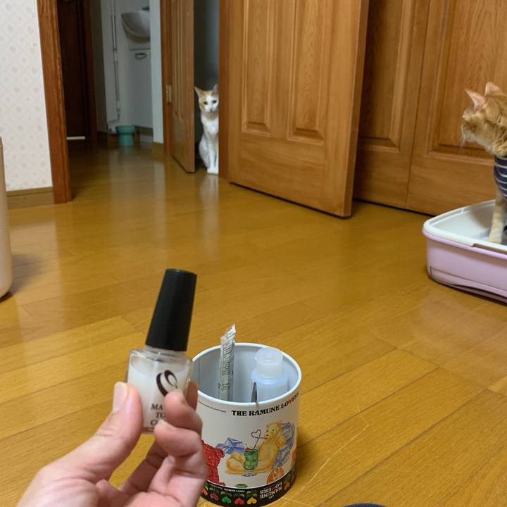 Df332782 e7b5 4b12 b73f 4c047e7ad75a 1650544186698