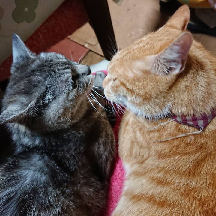 Df334827 778b 414c a001 54e30e27209b 1567163881198