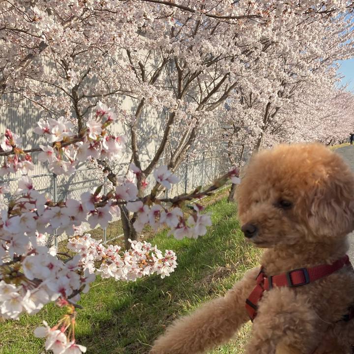 Df336abc ed96 41eb 9ccc ca00dc9a39ec 1649313273713