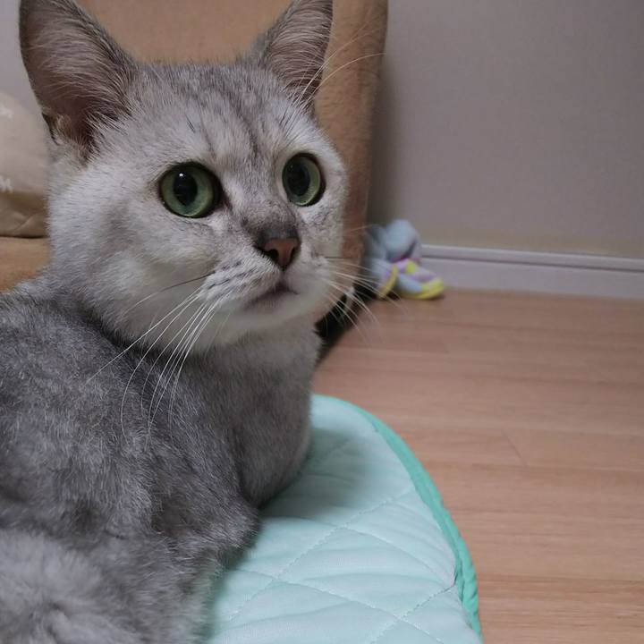 Df337fee aefc 478a b35b 12f8c4daad3f 1508166926248