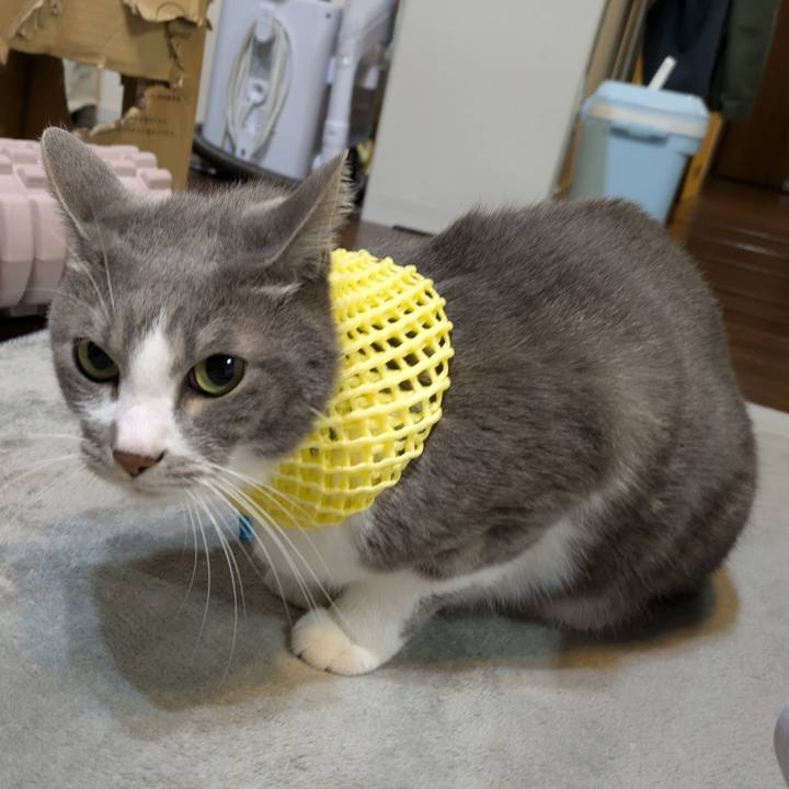 Df33aace 9a4a 4d23 8180 8eafe1774dfe 1732624711226