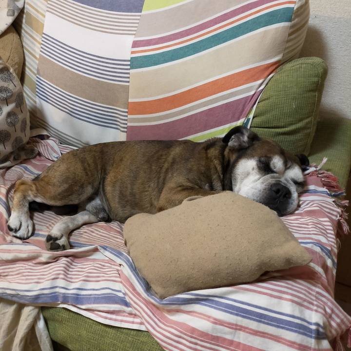 Df33cbe4 62d3 435f 9086 456439fdeefe 1630506082690