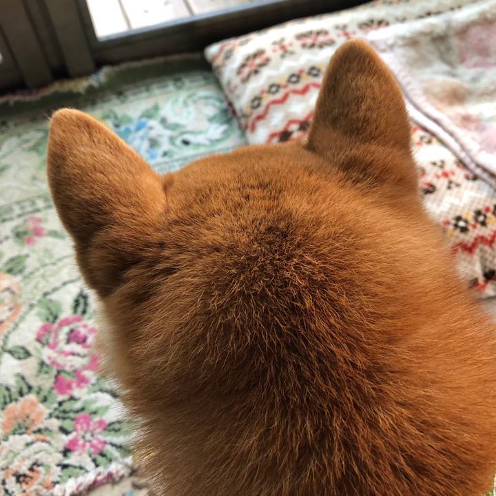 Df33d444 e57b 4e95 9cc3 5c1b5fc5bbec 1552560278321