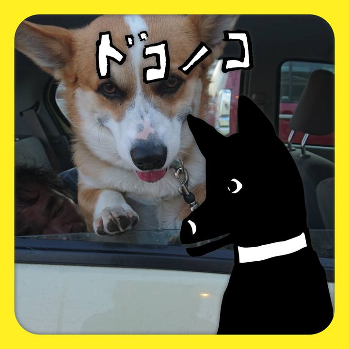 Df33f492 63fe 4959 a583 3e11688fe604 1623029812543