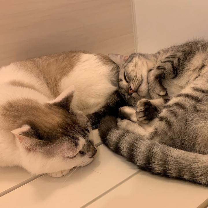 Df34212b 63da 4d6f 8e53 0bd5e5011c6d 1612860364916