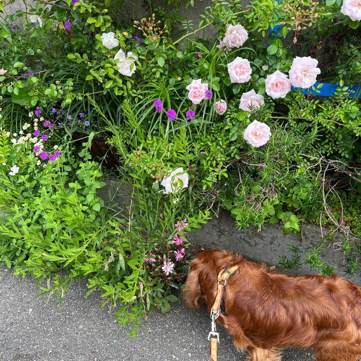 Df34308a 2ba4 4e43 8845 61abf4df051c 1652707454421